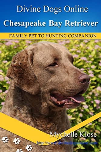 9781490503189: Chesapeake Bay Retrievers: Divine Dogs Online