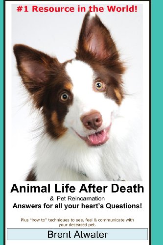 Stock image for Animal Life After Death & Pet Reincarnation: Answers for all your heart's Questions! for sale by AwesomeBooks