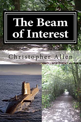 Stock image for The Beam of Interest: Taken by Storm for sale by THE SAINT BOOKSTORE