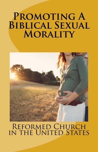 Beispielbild fr Promoting A Biblical Sexual Morality zum Verkauf von Revaluation Books