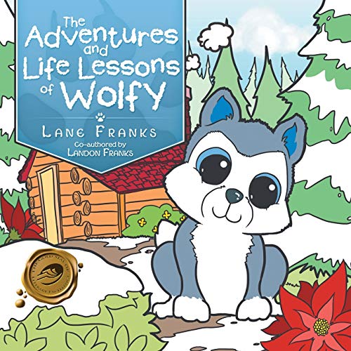 9781490728438: The Adventures and Life Lessons of Wolfy