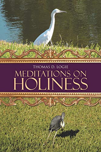 9781490729282: Meditations on Holiness