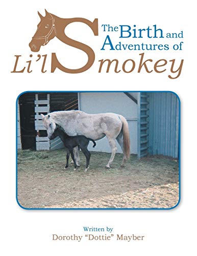 Imagen de archivo de The Birth and Adventures of Lil Smokey a la venta por SecondSale