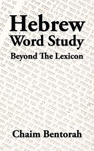 9781490739618: Hebrew Word Study: Beyond the Lexicon
