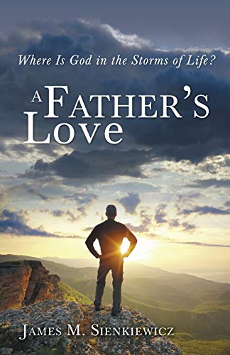 Stock image for A Father's Love: Where Is God in the Storms of Life for sale by Chiron Media