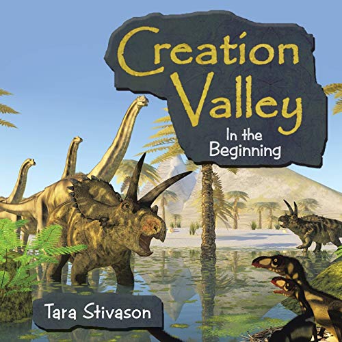 Beispielbild fr Creation Valley: In the Beginning zum Verkauf von Chiron Media
