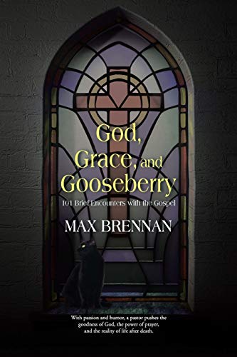 Beispielbild fr God, Grace, and Gooseberry: 101 Brief Encounters with the Gospel zum Verkauf von SecondSale