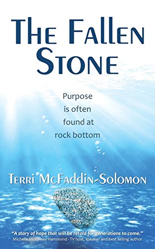 Stock image for The Fallen Stone: Purpose is often found at rock bottom for sale by Chiron Media