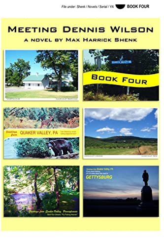 Beispielbild fr Meeting Dennis Wilson: Book Four zum Verkauf von THE SAINT BOOKSTORE