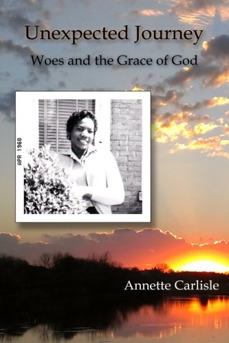 9781490911465: Unexpected Journey: Woes and the Grace of God