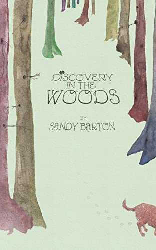 Stock image for Discovery In The Woods: A St. Patrick's Day Surprise (Leprechaun Adventures Series) (Volume 1) for sale by SecondSale