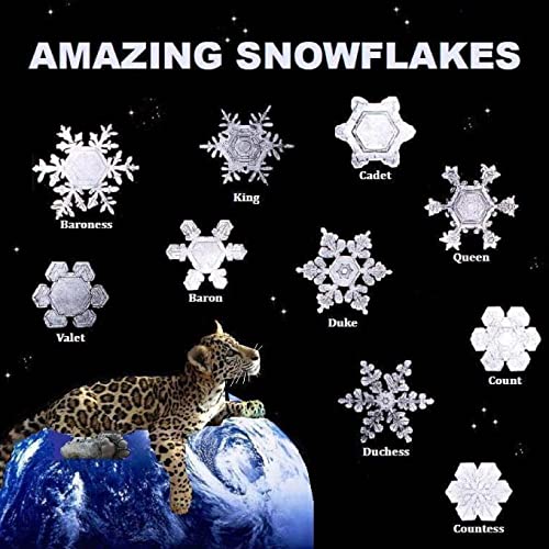 Beispielbild fr Amazing Snowflakes zum Verkauf von California Books
