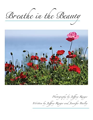 Stock image for Breathe in the Beauty: A Contemplative Photography Journey for sale by savehere619