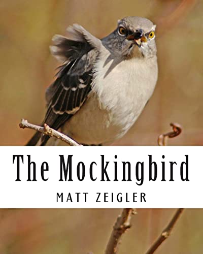 Imagen de archivo de The Mockingbird a la venta por THE SAINT BOOKSTORE