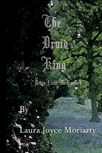 Stock image for The Druid King - Devin Elean McKaeraer for sale by THE SAINT BOOKSTORE