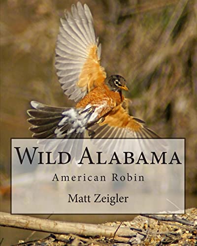 Imagen de archivo de Wild Alabama: American Robin a la venta por THE SAINT BOOKSTORE