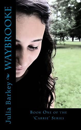 9781491263877: Waybrooke: Volume 1