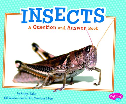 Beispielbild fr Insects : A Question and Answer Book zum Verkauf von Better World Books