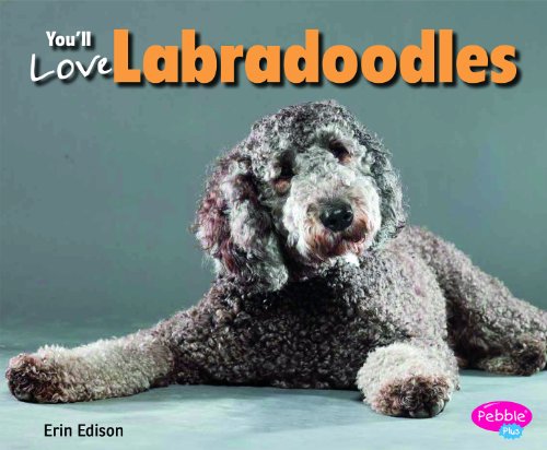 Beispielbild fr You'll Love Labradoodles zum Verkauf von Better World Books