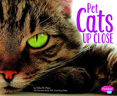 Stock image for Pet Cats up Close for sale by Better World Books