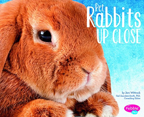 Beispielbild fr Pet Rabbits up Close zum Verkauf von Better World Books
