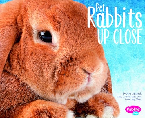 Stock image for Pet Rabbits up Close for sale by Better World Books