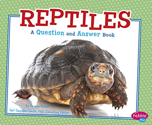 Imagen de archivo de Reptiles: A Question and Answer Book (Pebble Plus: Animal Kingdom Questions and Answers) a la venta por ZBK Books