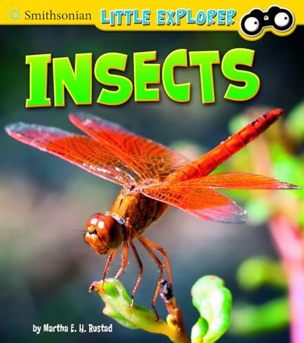 9781491407967: Insects (Smithsonian Little Explorer: Little Scientist)