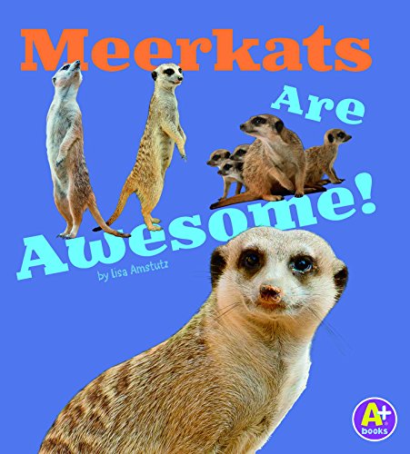 Beispielbild fr Meerkats Are Awesome! zum Verkauf von Better World Books