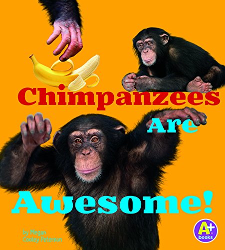 9781491417652: Chimpanzees Are Awesome! (Awesome African Animals)
