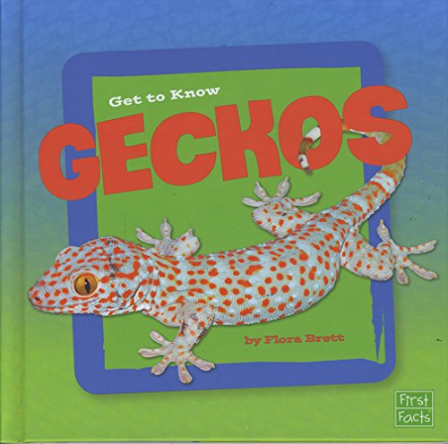 Stock image for Get to Know Geckos (Get to Know Reptiles) for sale by WYEMART LIMITED
