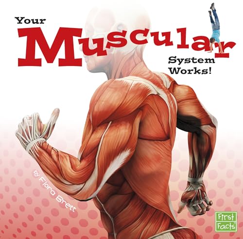 Beispielbild fr Your Muscular System Works! zum Verkauf von Better World Books
