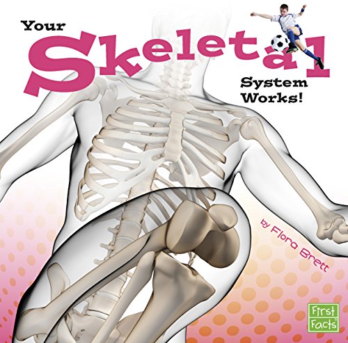 Beispielbild fr Your Skeletal System Works! zum Verkauf von Better World Books