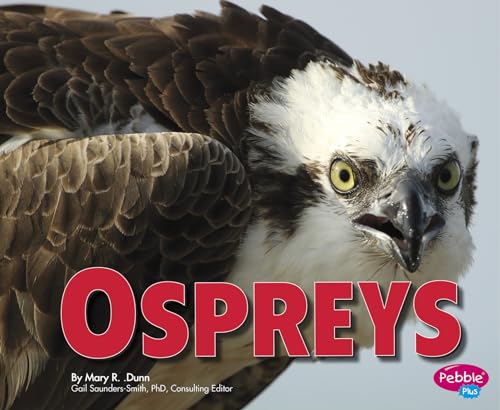 Imagen de archivo de Ospreys a la venta por ThriftBooks-Atlanta