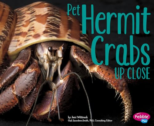 Beispielbild fr Pet Hermit Crabs up Close zum Verkauf von Better World Books