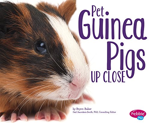 9781491421109: Pet Guinea Pigs Up Close (Pets Up Close)