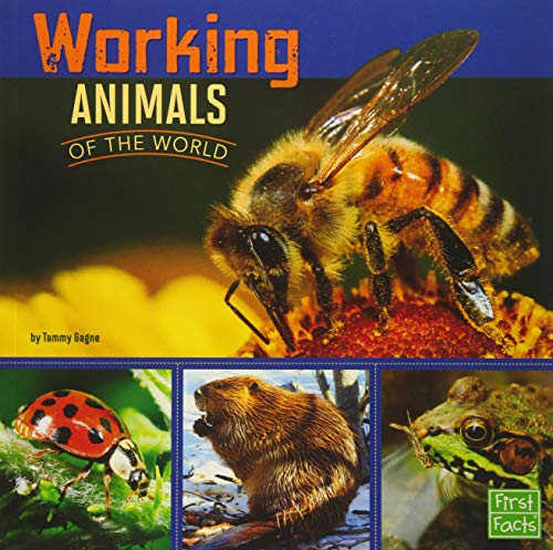 9781491422380: Working Animals of the World (All About Animals)