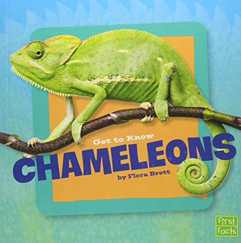 Imagen de archivo de Get to Know Chameleons a la venta por Better World Books