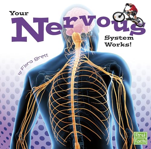 Stock image for Your Nervous System Works! (Your Body Systems) for sale by Goodwill of Colorado