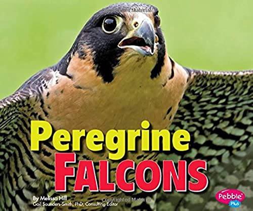 Beispielbild fr Peregrine Falcons (Birds of Prey) zum Verkauf von SecondSale