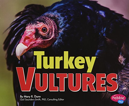 Imagen de archivo de Turkey Vultures a la venta por Better World Books