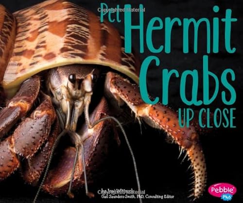 Stock image for Pet Hermit Crabs up Close for sale by Better World Books