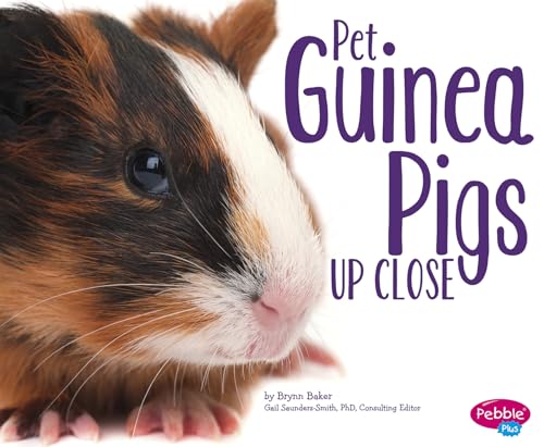 Beispielbild fr Pet Guinea Pigs up Close zum Verkauf von Better World Books