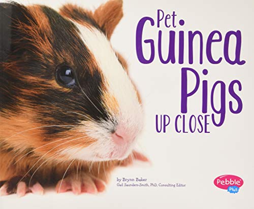 Imagen de archivo de Pet Guinea Pigs Up Close (Pets Up Close) a la venta por HPB Inc.