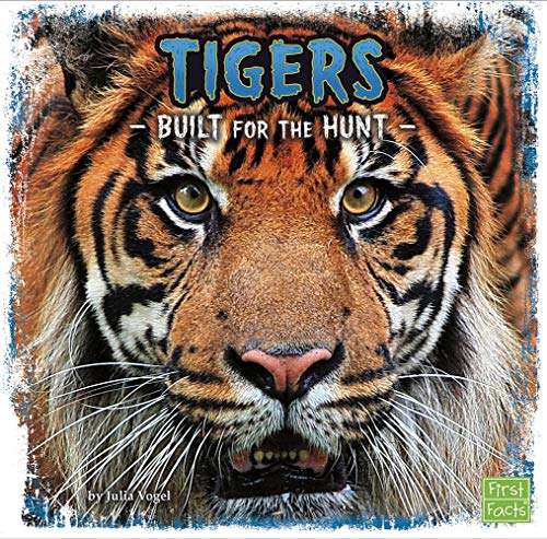 9781491450369: Tigers: Built for the Hunt (First Facts: Predator Profiles)
