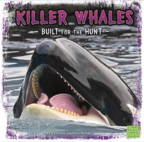 9781491450420: Killer Whales: Built for the Hunt (First Facts: Predator Profiles)