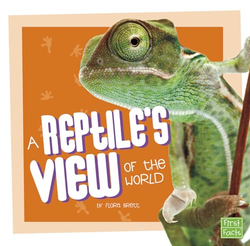 Stock image for A Reptile's View of the World for sale by Better World Books: West