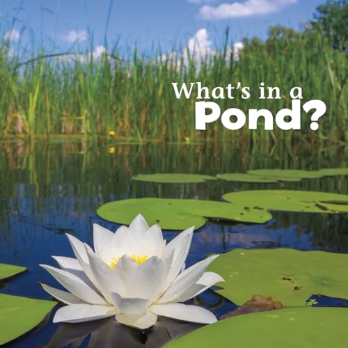 Beispielbild fr What's in a Pond? zum Verkauf von Better World Books