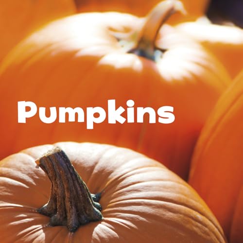 Beispielbild fr Pumpkins (Celebrate Fall) zum Verkauf von Hawking Books