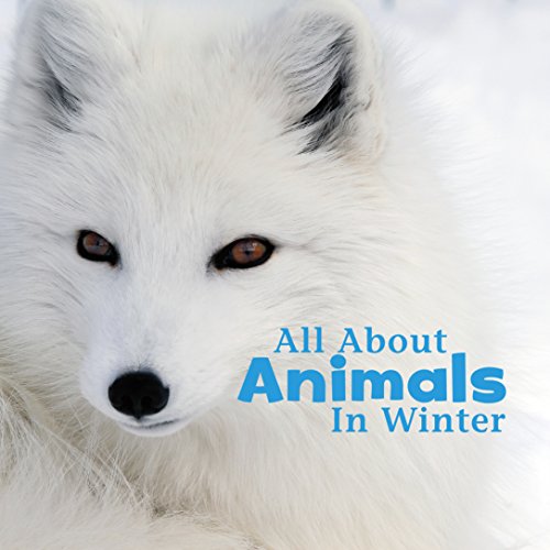 9781491460177: All about Animals in Winter (Celebrate Winter)